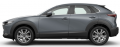 CX-30 POLYMETAL GRAY METALLIC.png